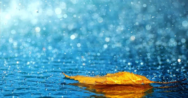 Bəzi ərazilərdə yağıntılı hava şəraiti davam edib