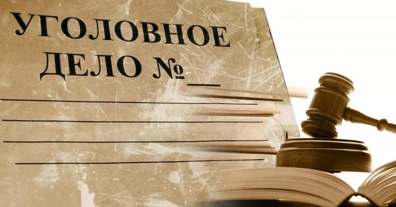 В России возбудили уголовное дело в отношении журналистки: ПОДРОБНОСТИ Фото
