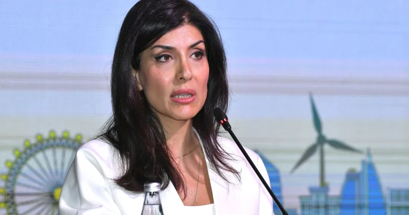 COP29 un yüksəksəviyyəli çempionu: Özəl sektor iqlim dəyişikliyi ilə mübarizədə vacib tərəfdaşdır