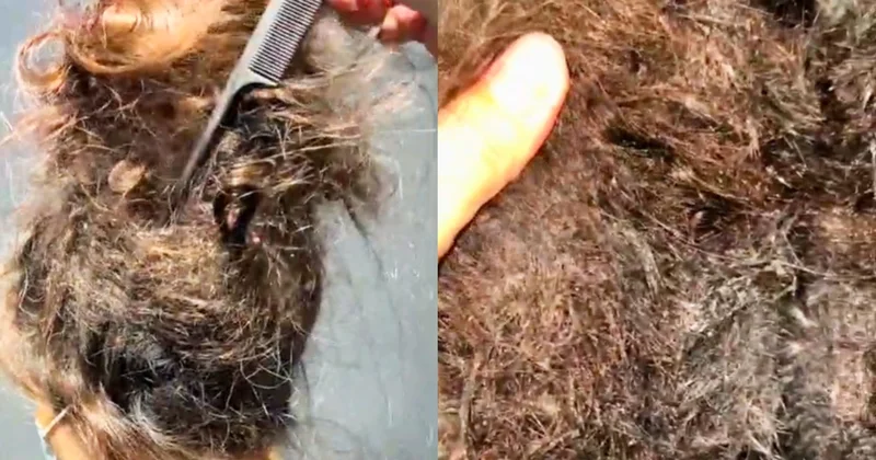 Gənc qadının saçı 18 saata açıldı Kuryoz olay VİDEO