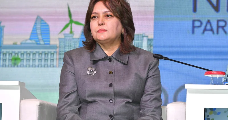 İstixana qazlarının reyestrinin hazırlanmasını və emissiyaların izlənilməsi sisteminin qurulmasını əks etdirən qanun layihəsi hazırlanıb