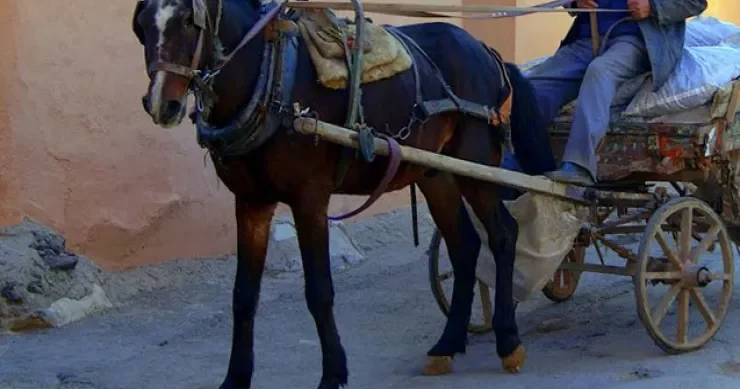 At arabası sürənlərə XƏBƏRDARLIQ