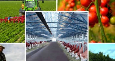 Qeyri neft ixracı 2,8 milyard dolları keçdi