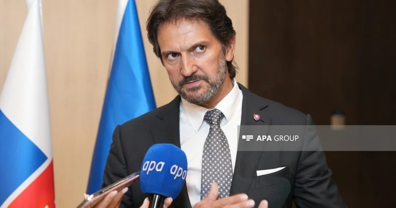 Словакия представит на ADEX 2026 совместную с Азербайджаном минометную систему