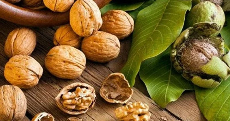 Təzə qozun kilosu 6 manatdan başlayır: Alıcılar narazıdır Ekspert nə deyir?
