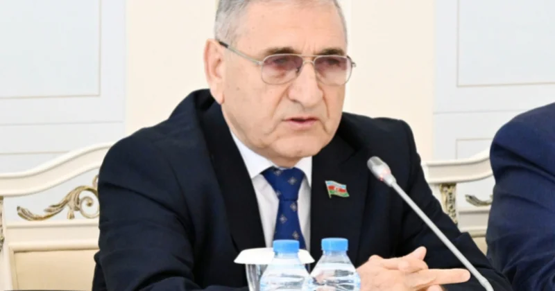 Azərbaycana sərmayələrin artması ölkədəki iqtisadi sabitliyi göstərir ŞƏRH