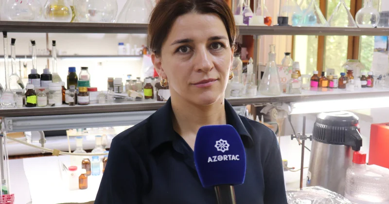 Pərvanə Babayeva: Xarici laboratoriyada işləmək, əslində, xarici təcrübəni öz laboratoriyana gətirməkdir