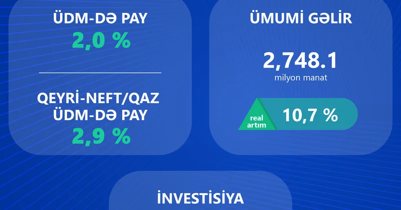 İKT sektoruna investisiya qoyuluşunda 50% dək artım qeydə alınıb