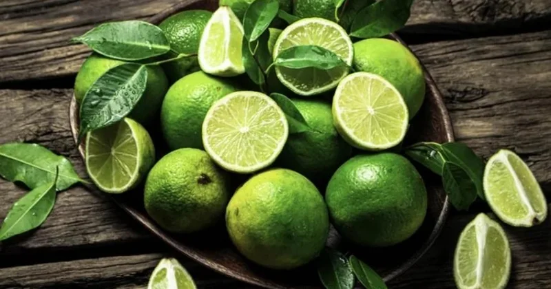 Azərbaycan Argentinadan limon və laymın idxalını kəskin artırıb