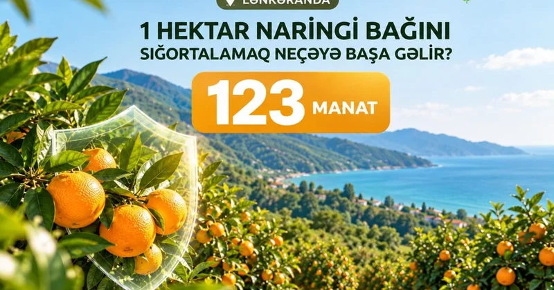 Naringi bağlarının sığortalanmasına diqqət artırılıb