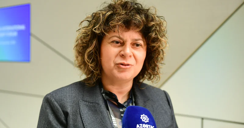 İnvestisiya agentliyinin direktoru: Monteneqro sənaye zonalarının idarəedilməsi üzrə Azərbaycanın təcrübəsini öyrənməkdə maraqlıdır