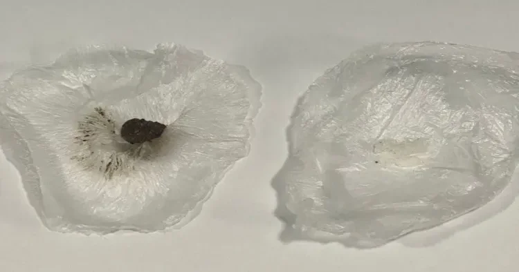 Cəzaçəkmə müəssisəsinə narkotik keçirilməsinin qarşısı alındı FOTO