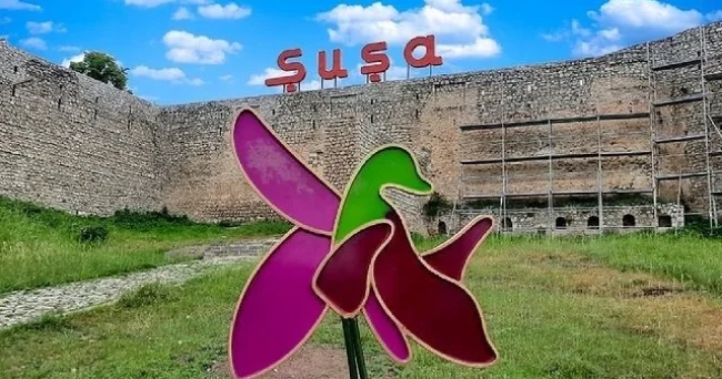 “Tariximizdə 8 Noyabrdan daha böyük, daha parlaq gün yoxdur”