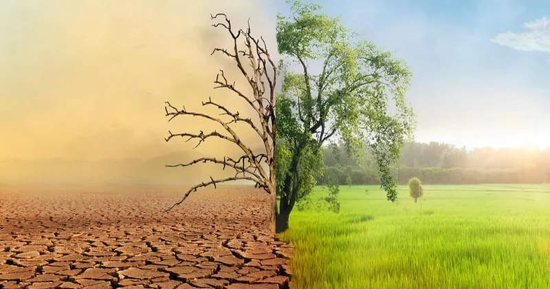 İqlim dəyişikliyi kənd təsərrüfatına təhlükə yaradır Ekoloq