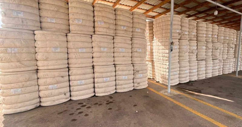 Sabirabaddakı pambıq emalı zavodu ildə 8 min ton mahlıc, 10 min ton texniki çiyid istehsalı gücünə malikdir