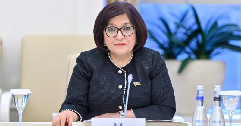 Успехи Турции воспринимаются в Азербайджане как собственные, заявила Гафарова Minval Politika