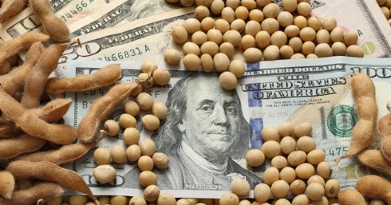 Çin bu il ilk dəfə ABŞ dan soya paxlası idxal edir