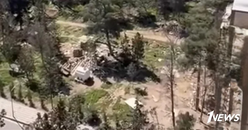 В Сумгайыте расследуют факт вырубки деревьев ФОТО