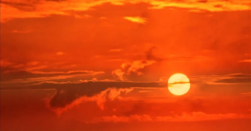 Artan temperatur hər dəqiqə dünyada bir nəfərin ölümünə səbəb olur