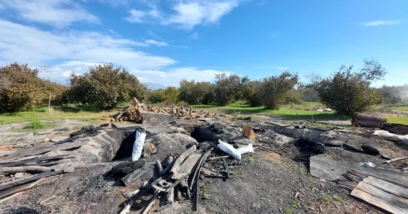 Oğuzda ətraf mühitin qorunması ilə bağlı əməliyyat: Dörd nəfər məsuliyyətə cəlb olundu