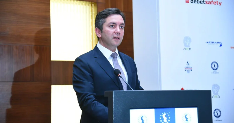 Реализация проектов ВИЭ в Карабахе и Восточном Зангезуре превращает Азербайджан в региональный центр зелёной энергетики замминистра