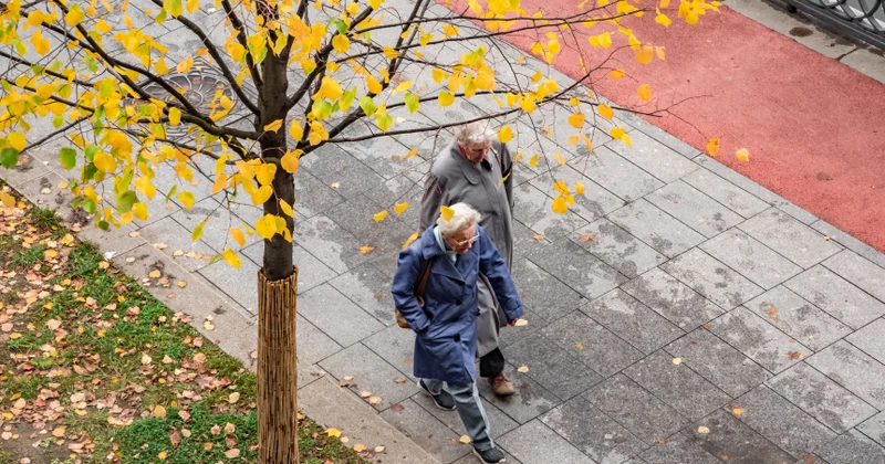 İnsanın boyu illər keçdikcə niyə azalır..?