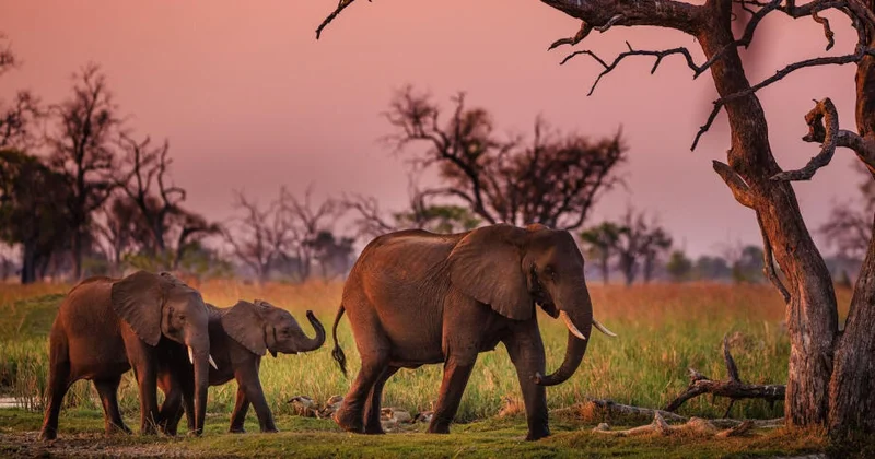 Лучшие направления для путешествий в 2026 году