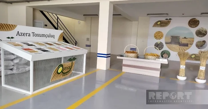 Сабирабадское предприятие Azera Toxumçuluq создаст 20 новых рабочих мест