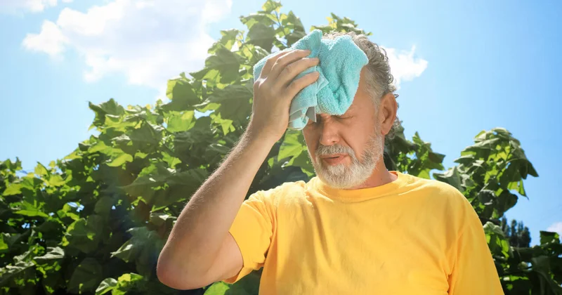 Жаркая погода в 2024 году привела к потере $1 трлн