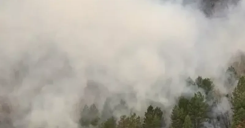 Российский город покрыла дымка от пожаров на территории Китая