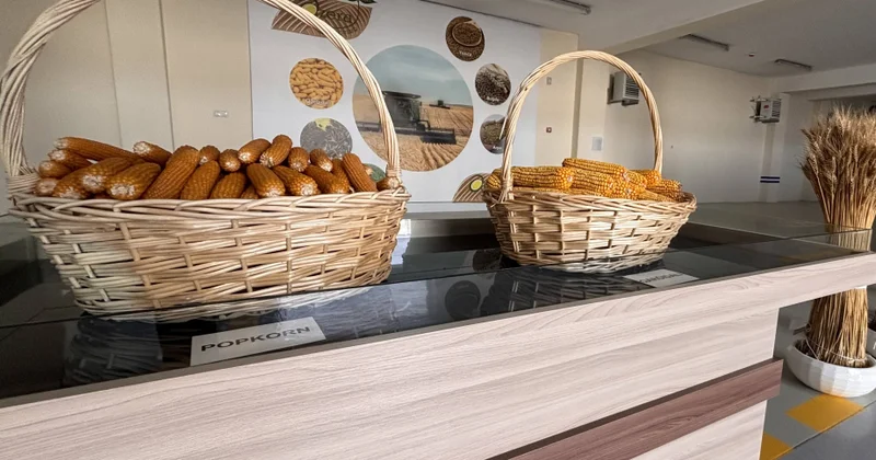 “Azera Toxumçuluq” MMC nin Sabirabaddakı müəssisəsində standart və hibrid toxum istehsal olunur