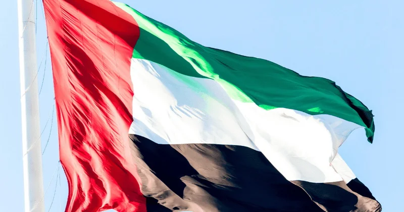 BƏƏ üç il ərzində Afrikaya 110 milyard dollardan çox investisiya yatırıb