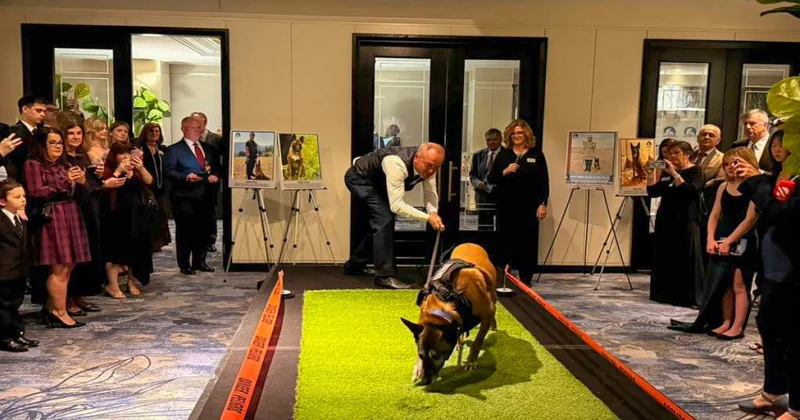 ANAMA nın minaaxtaranı ABŞ da mükafata layiq görülüb FOTO