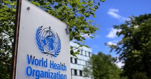 Professor: ÜST nin yeni təlimatı itkiləri minimuma endirəcək