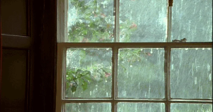 Yağış yağır, külək əsir Faktiki hava