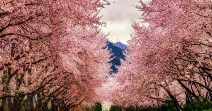 Xarici ölkədə həyatınızı xilas edəcək sözlər