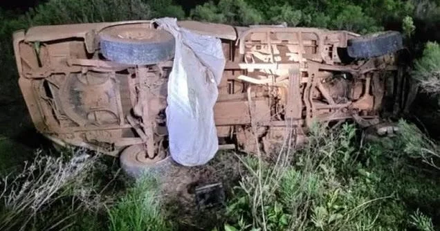 Braziliyada arılar 2 nəfəri öldürdü