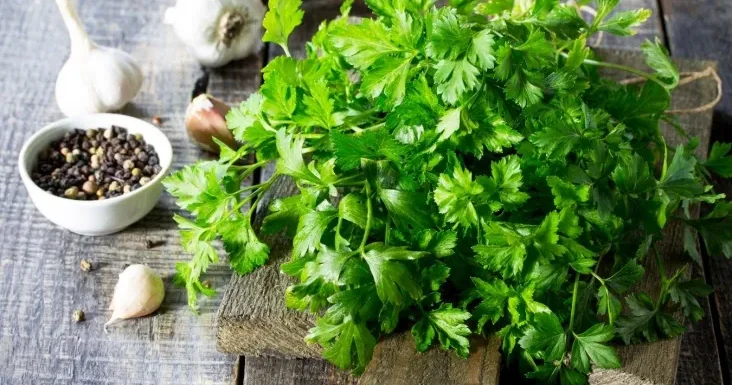 Yaşıl möcüzə: Cəfərinin orqanizm üçün unudulan faydaları