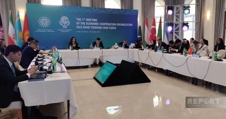В Шеки проходит I заседание Рабочей группы стран ОЭС по Шелковому пути