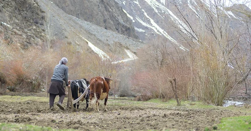 Одобрено финансирование программы АБР по адаптации к таянию ледников в Центральной Азии, Южном Кавказе и Пакистане