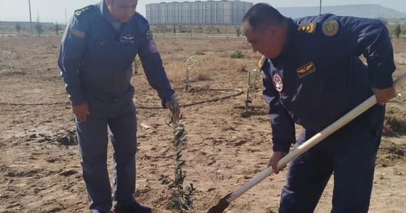 FHN in Aviasiya dəstəsi ağacəkmə aksiyası keçirib