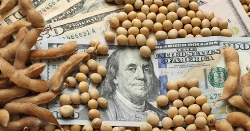 Китай возобновил закупки соевых бобов из США