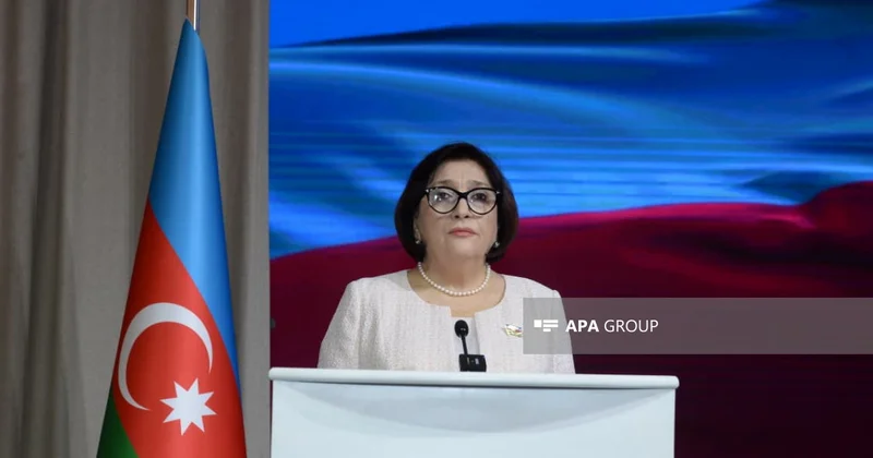 Сахиба Гафарова: Азербайджан и Турция всегда выступают с единой позицией по международным вопросам