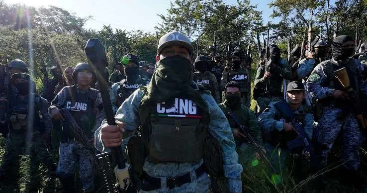 İçərisində insan qalıqları olan 48 kisə