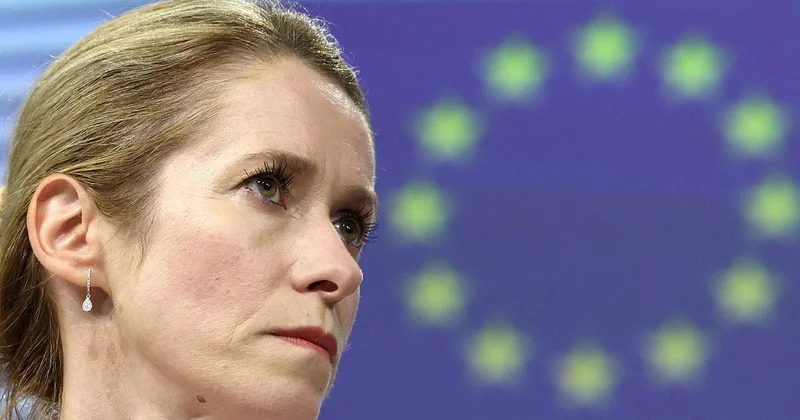 Каллас заявила о непредсказуемости США после прихода Трампа