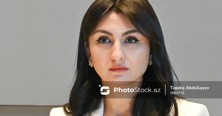 Самира Мусаева: Всего 0,4% азербайджанского экспорта попадет под новый углеродный налог ЕС