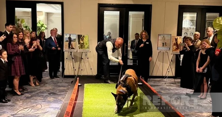 Борьба с минной угрозой: Азербайджан получил награду на церемонии Clearing the Path Awards в США