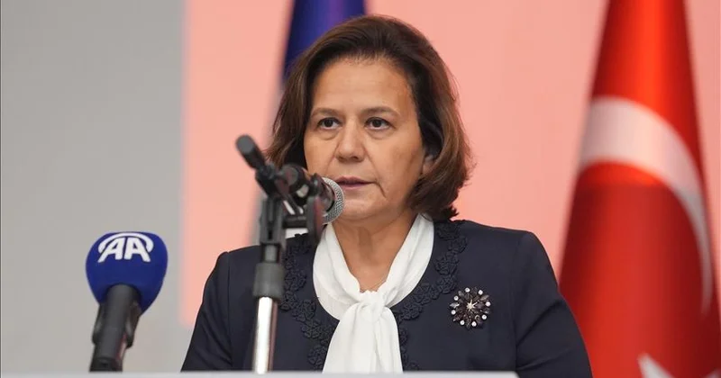 Türkiyə Bakıda bu suallara cavab axtarır “Hakan Fidanın müavini ona görə gəlmişdi ki...”