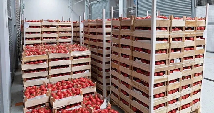 Азербайджан усиливает требования к упаковке и маркировке растениеводческой продукции для экспорта