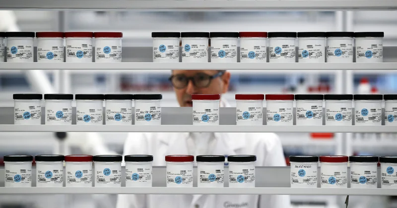 Alimlər hüceyrələrdə “qoxu hissi” yaradıblar TƏDQİQAT